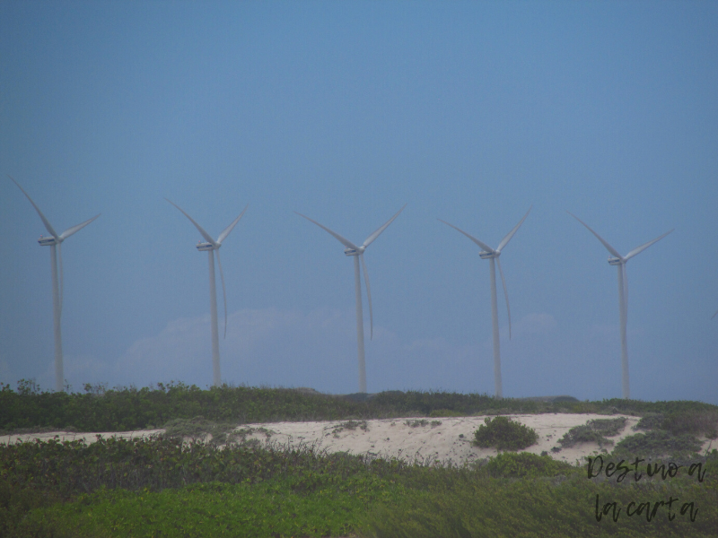 Molinos viento Aruba