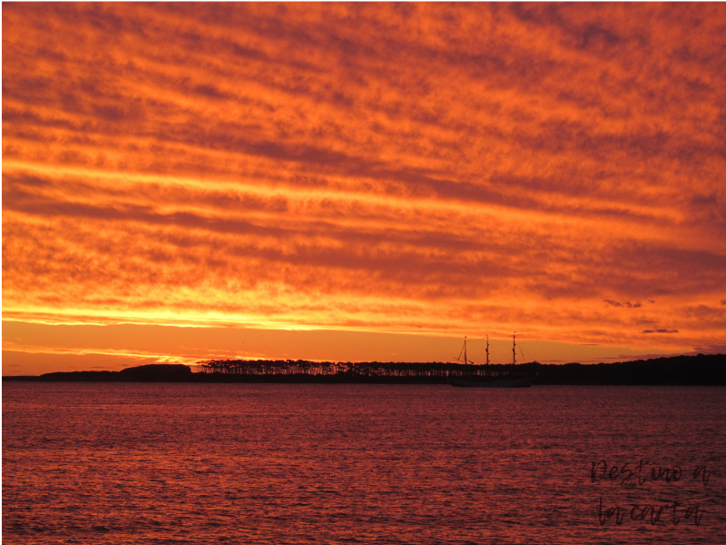 Playa mansa - Punta del Este