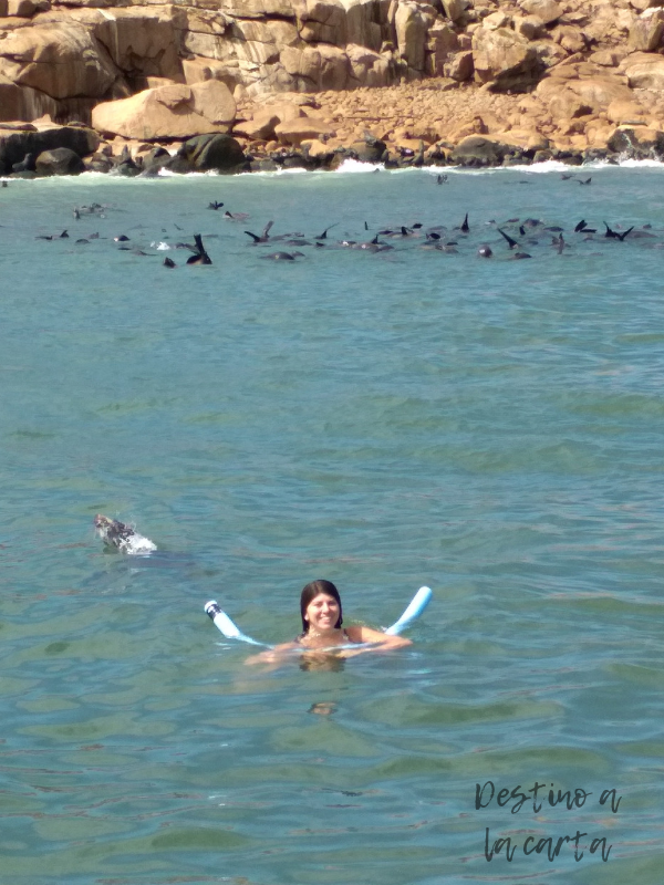 Isla de Lobos Punta del Este