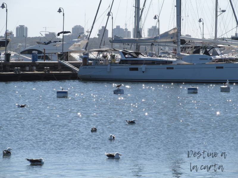 Puerto de Punta del Este