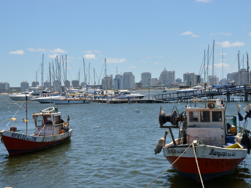 Puerto de Punta del Este