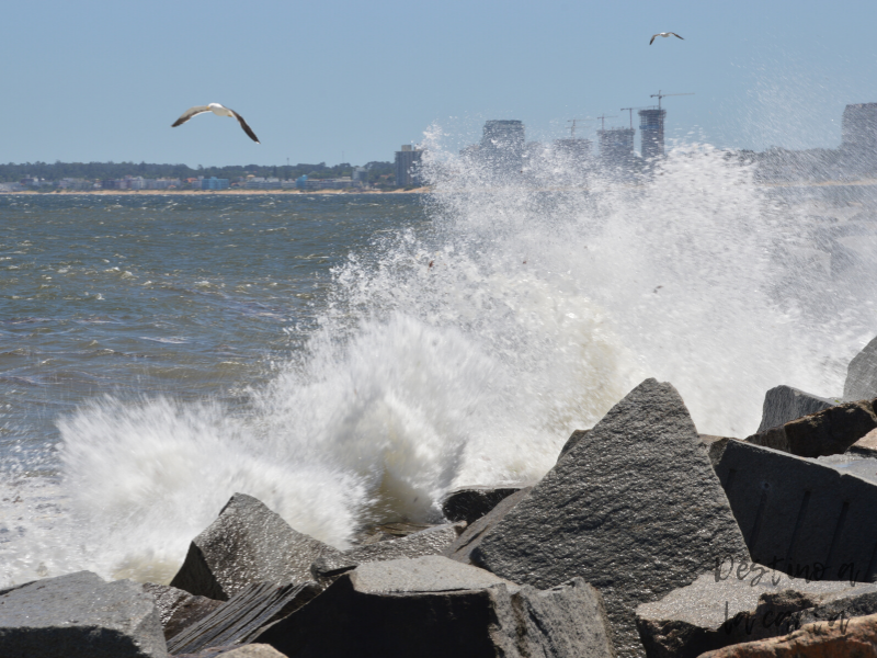 Ola puerto de Punta del Este